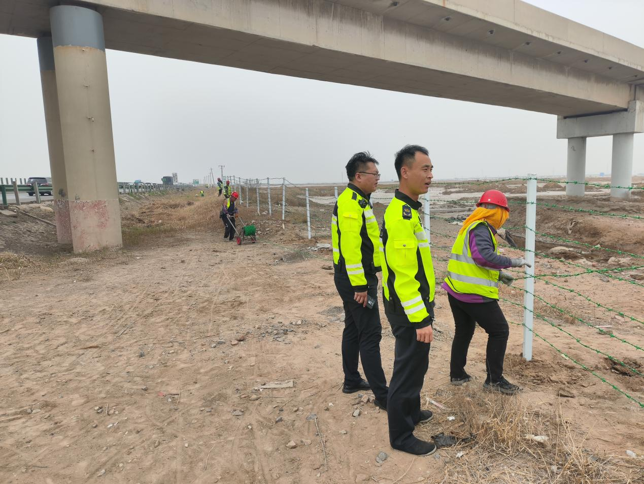 图片6.png 图片6.png